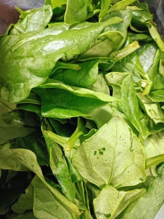 Espinaca en hojas - kg