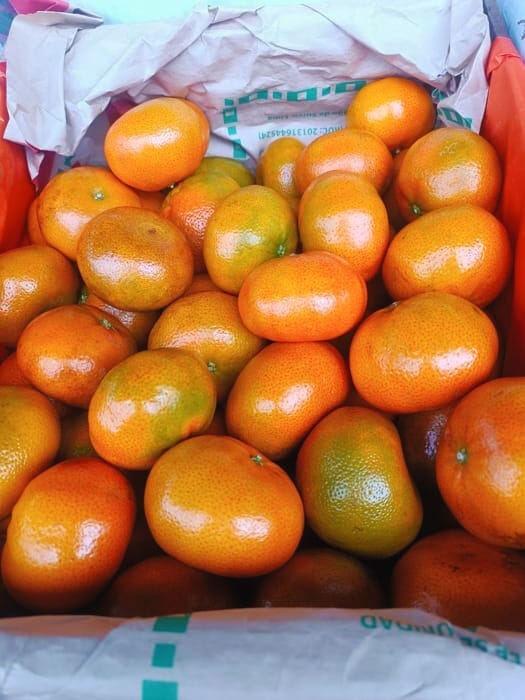 Mandarina - kg