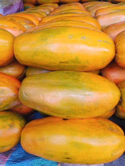Papaya grande - unid