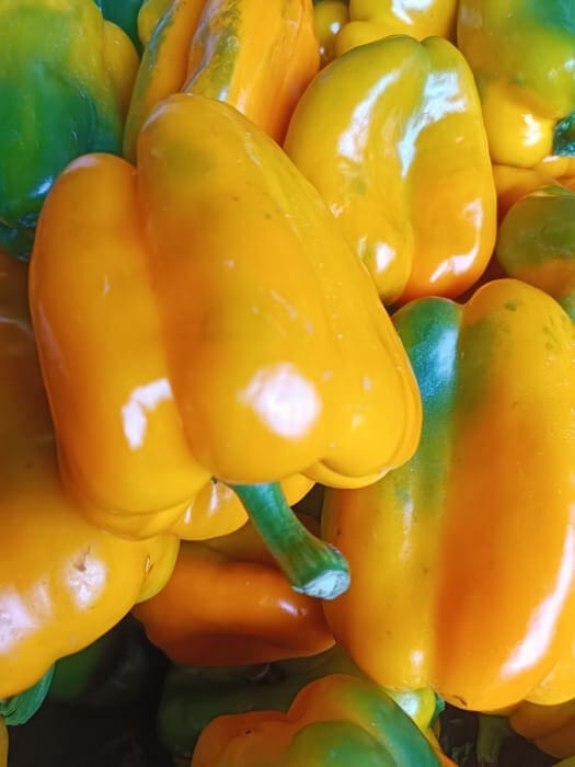 Pimiento amarillo - kg
