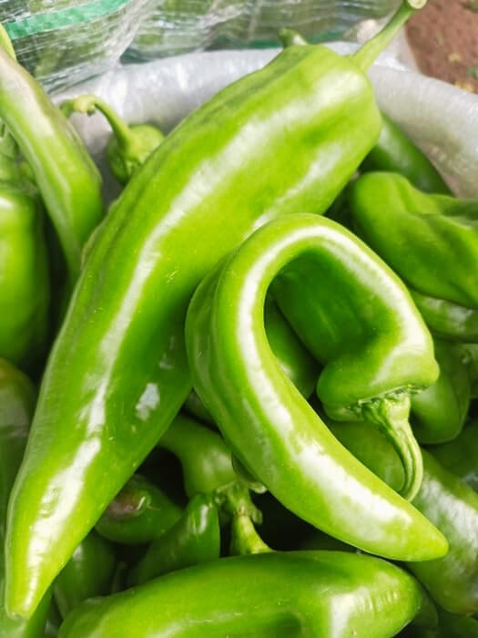 Pimiento verde - kg