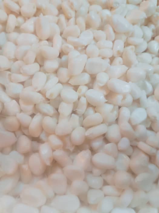 Choclo desgranado- kg