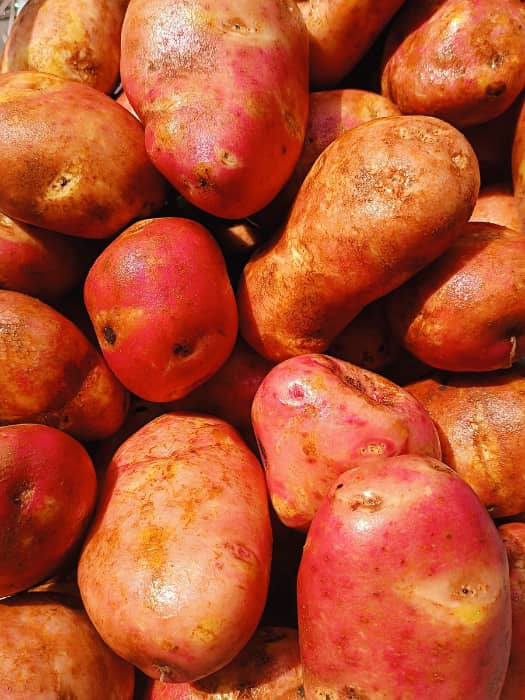 Papa Chola lavada- kg